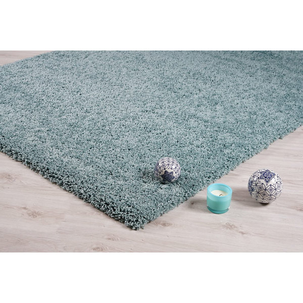 Brayden Studio Fintan Shaggy Duck Egg Rug & Reviews Wayfair.co.uk